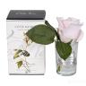 96CN-R46 Диффуз.Rose Bud French Pink,спрей White Gardenia 5мл уп в Москве и РФ