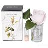96CN-R46 Диффуз.Rose Bud French Pink,спрей White Gardenia 5мл уп в Москве и РФ