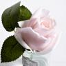 96CN-R46 Диффуз.Rose Bud French Pink,спрей White Gardenia 5мл уп в Москве и РФ