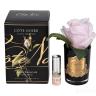 96CN-RB46 Диффузор Rose Bud Frech Pink, спрей Pink Peonies 5м уп в Москве и РФ